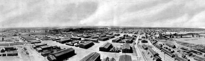 Panoramic Photograph of Camp Lee, 1917
