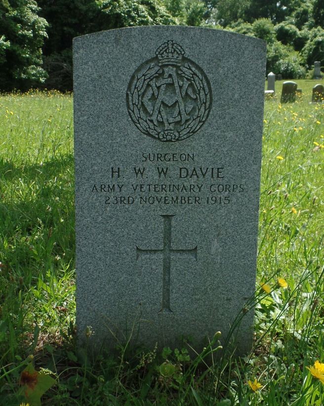 The grave of Dr Henry William Wilson Davie MRCVS at Greenlawn Cemetery, Newport News